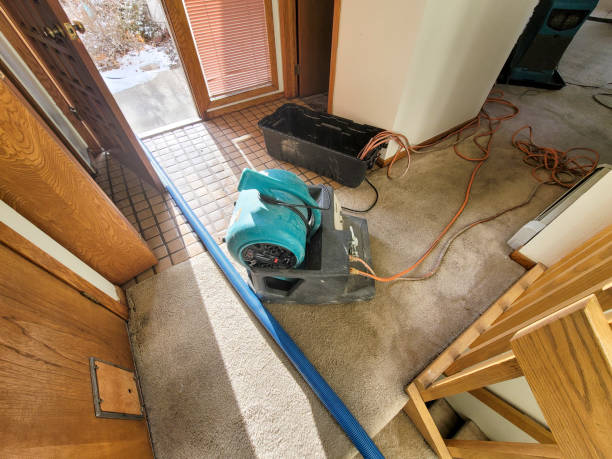 Best Fire Damage Restoration  in Gloucester Point, VA