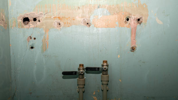 Best Water damage cleanup near me  in Gloucester Point, VA