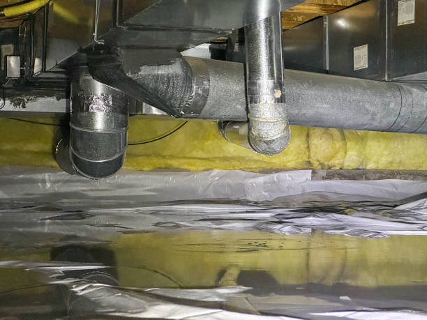 Gloucester Point, VA Water damage restoration Company
