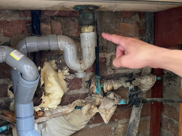 Best Mold removal after water damage  in Gloucester Point, VA